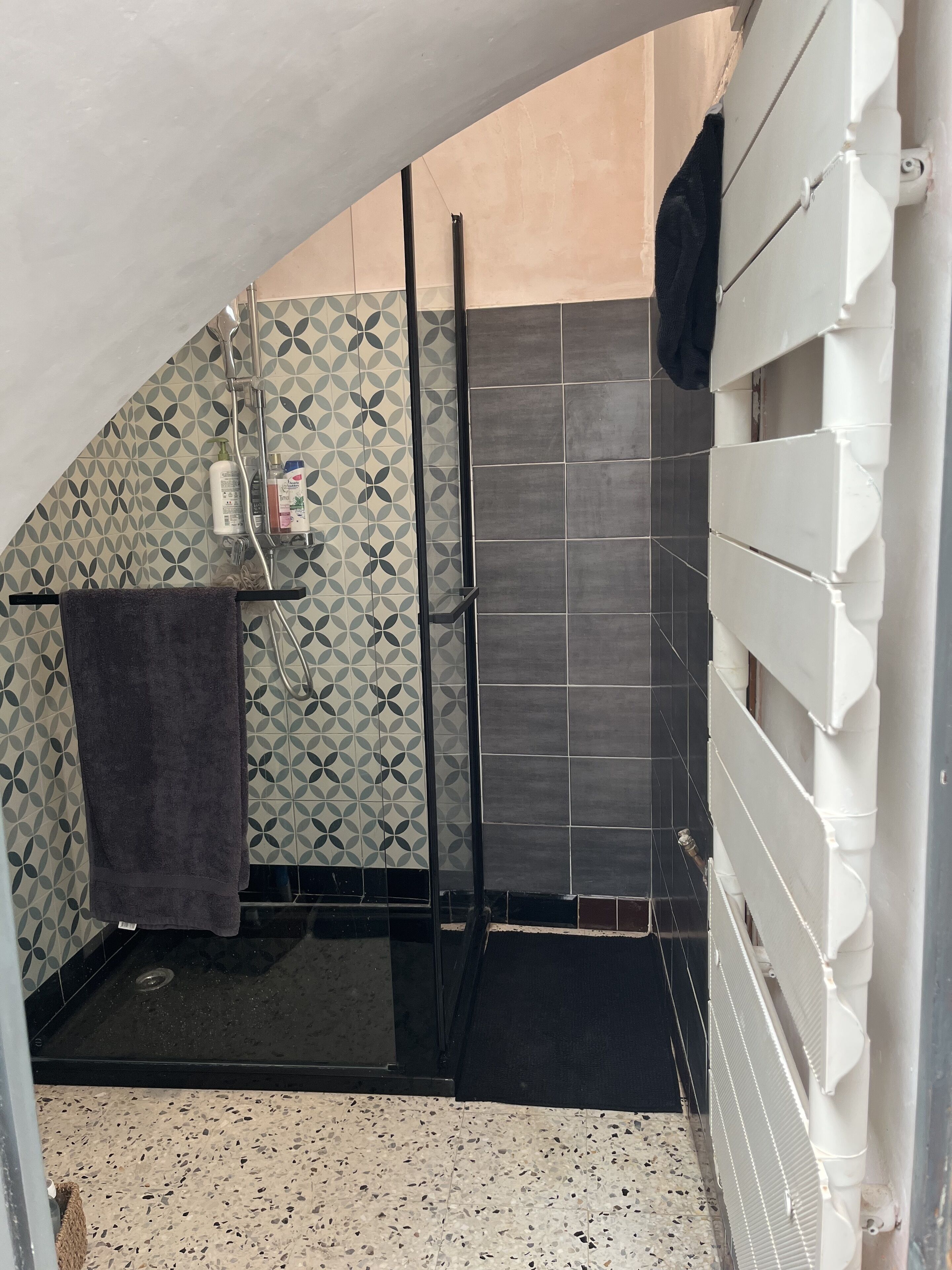 Un baño con ducha, barra para toallas y estante con artículos de aseo.