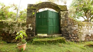 A stone archway leading to a green door, surrounded by greenery and a potted plant. - Niebli Historical Farm and Lodge at Pululahua Volcano (Calacali)