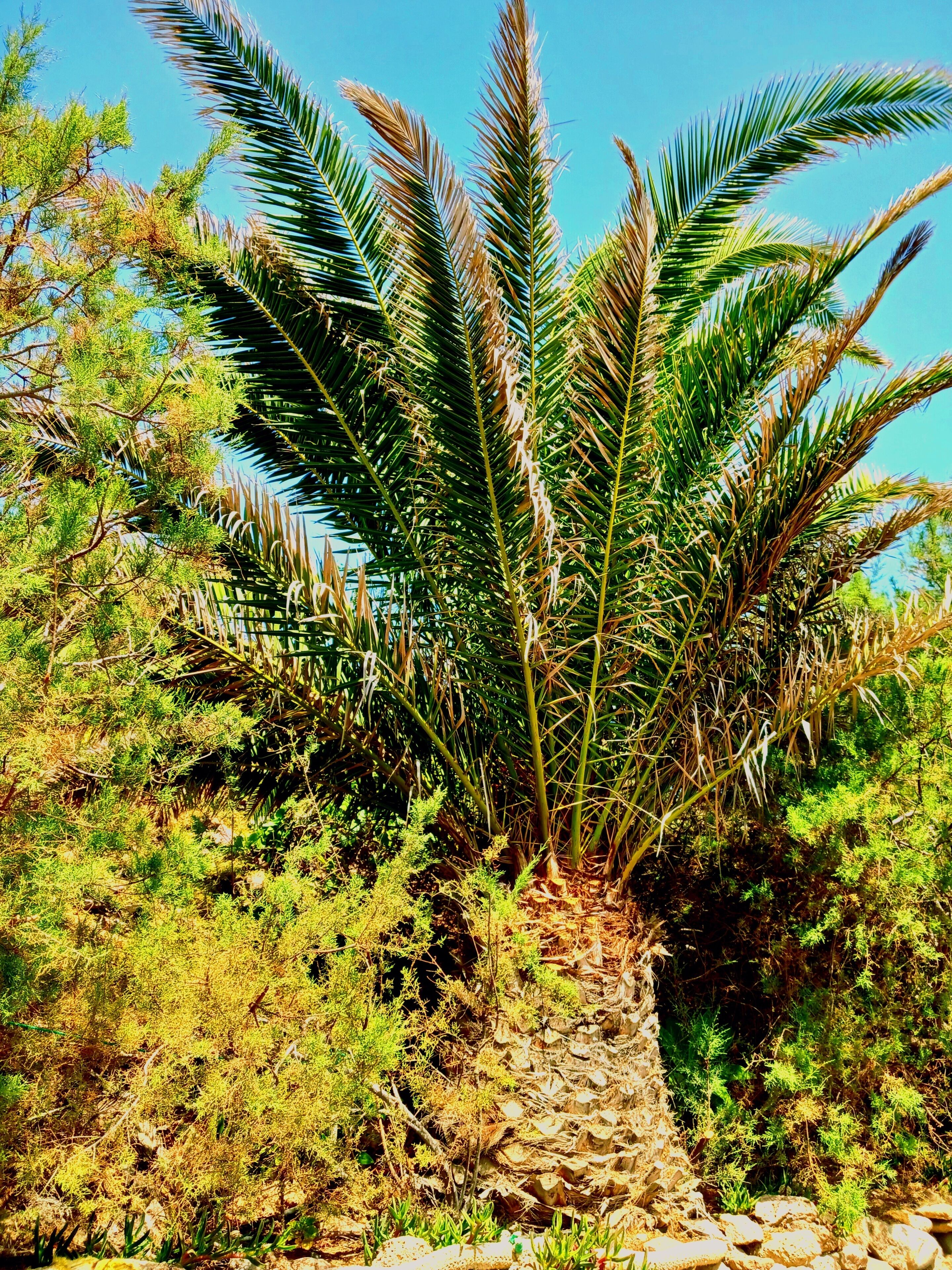 Foto - Hostel Blue Lagoon