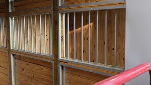 Un mur fait de panneaux de bois avec des barreaux métalliques, probablement un élément d’une étable ou d’une grange.