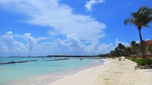 Una playa con agua turquesa cristalina, una orilla arenosa y palmeras.