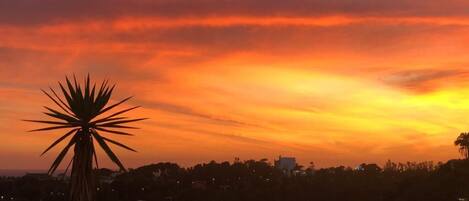 الإطلالة من المنشأة