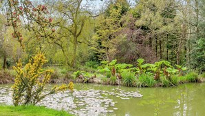 Property grounds - 1 bedroom accommodation in Cross in Hand, near Heathfield (Cross in Hand, near Heathfield)