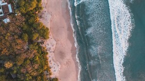 Vue aérienne d’une plage avec un rivage sablonneux, des vagues et une végétation luxuriante.