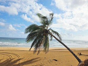 Sun loungers, beach towels