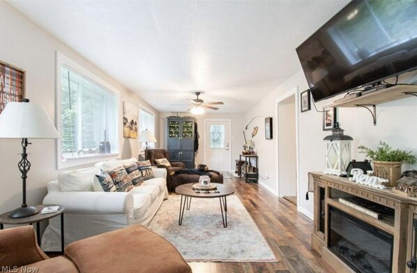 Smart TV, fireplace, books