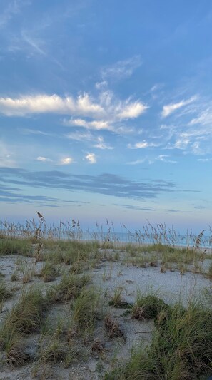 Een strand met weinig begroeiing en een heldere lucht.
