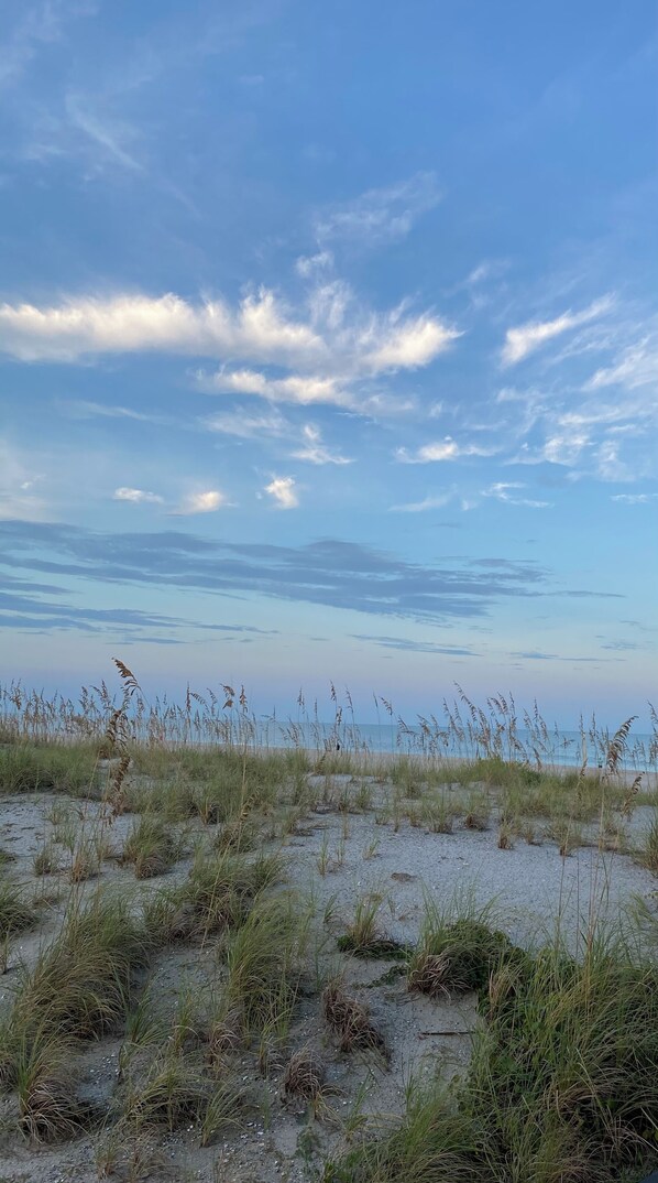 Playa en los alrededores y toallas de playa 