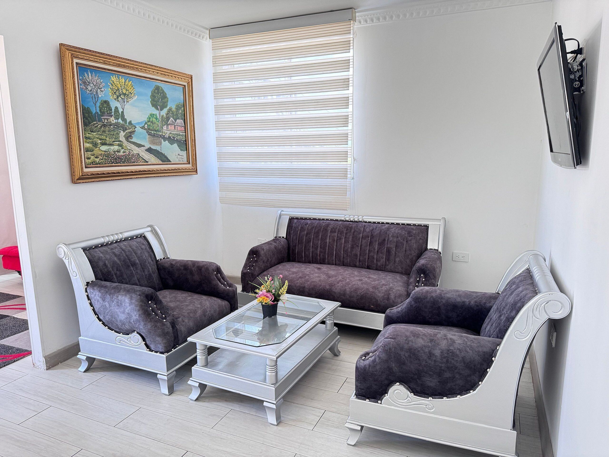 Departamento básico | Área de sala de estar | Televisión 