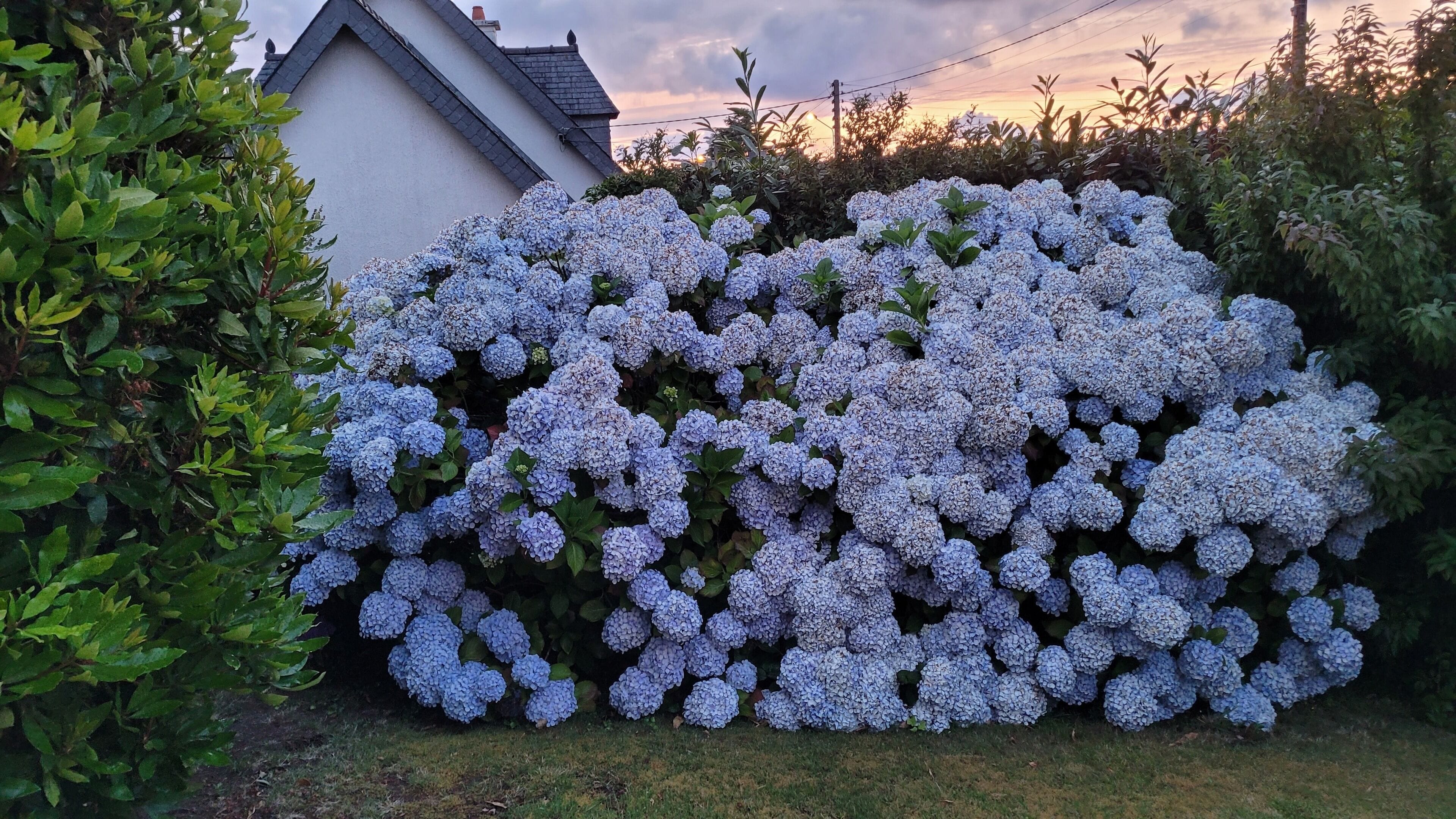 Ulkoalueet