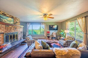 Smart TV, fireplace, books