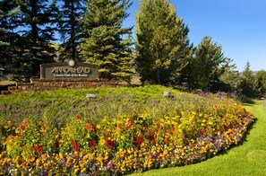 المنطقة المحيطة بالمنشأة