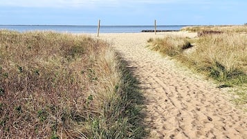 靠近海滩、沙滩椅