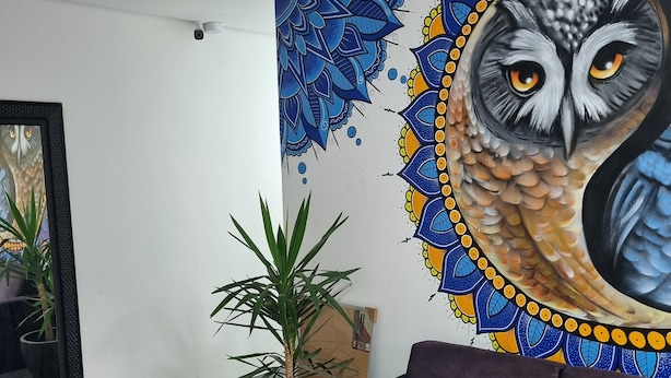 Una sala de estar con un sofá morado, un gran mural de un búho y una planta en maceta.