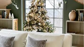 Télévision, cheminée, livres