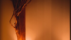 Basic Suite | Minibar, in-room safe, desk, laptop workspace - Natura LAKE (Anapoima)