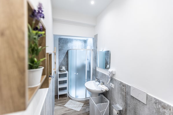 Shower, free toiletries, hair dryer, bathrobes