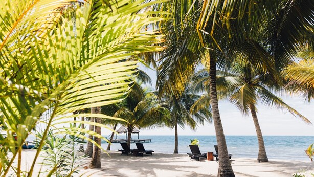 Una playa con palmeras, sillas de descanso y una terraza de madera frente al agua.