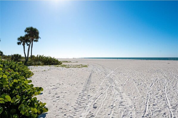 A beach with footprints leading to the water, palm trees, and a clear sky. - Beachfront Bliss: 2/2 with Stunning Gulf Views! (Longboat Key)