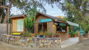 Un área de recepción con un cartel, plantas en macetas y una pared de piedra.
