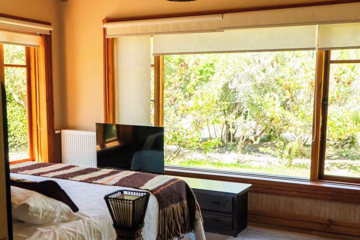 Un dormitorio con una cama grande, televisión y vistas a árboles a través de amplios ventanales.