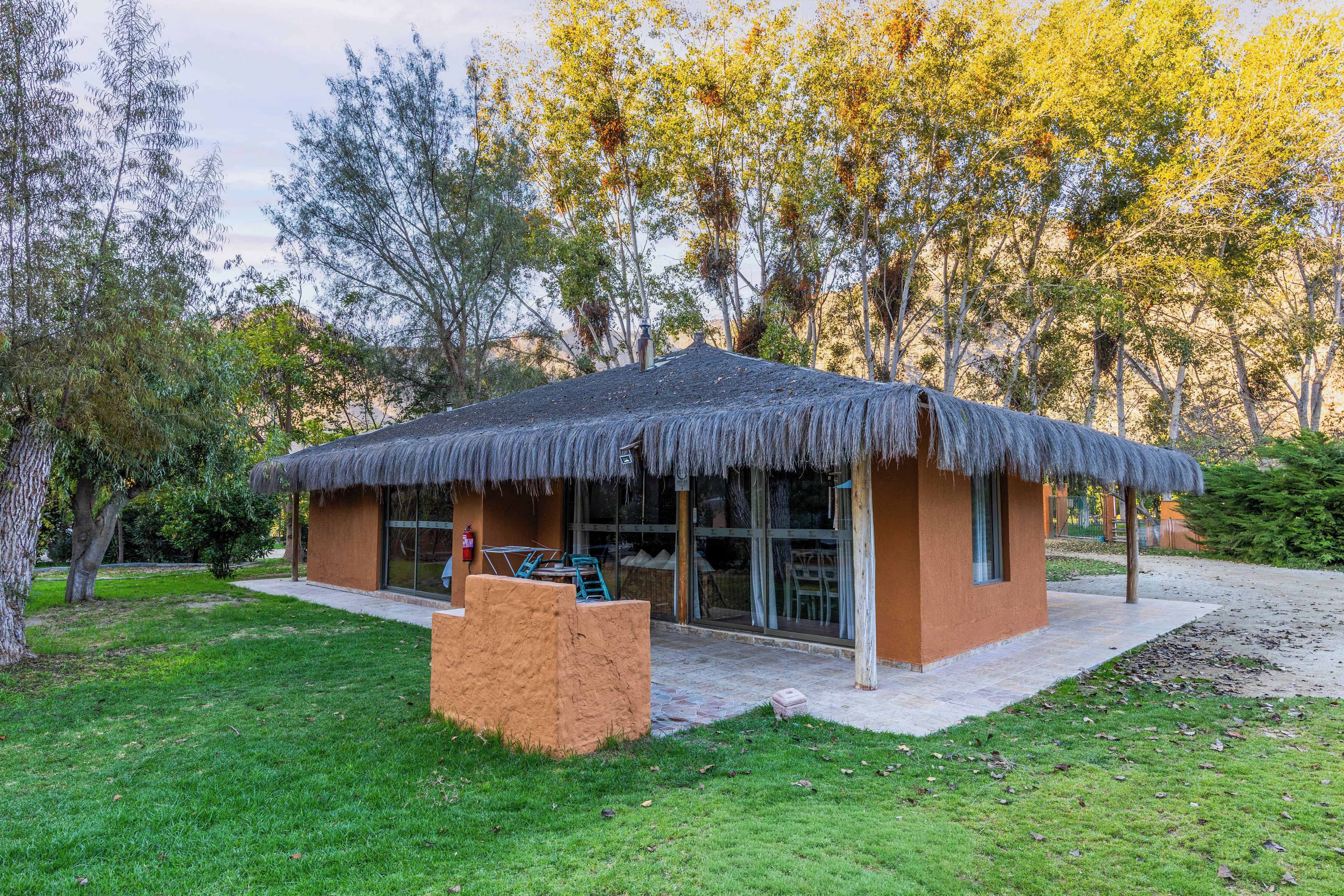 A thatched-roof building with a glass door and windows, surrounded by trees and a grassy area.