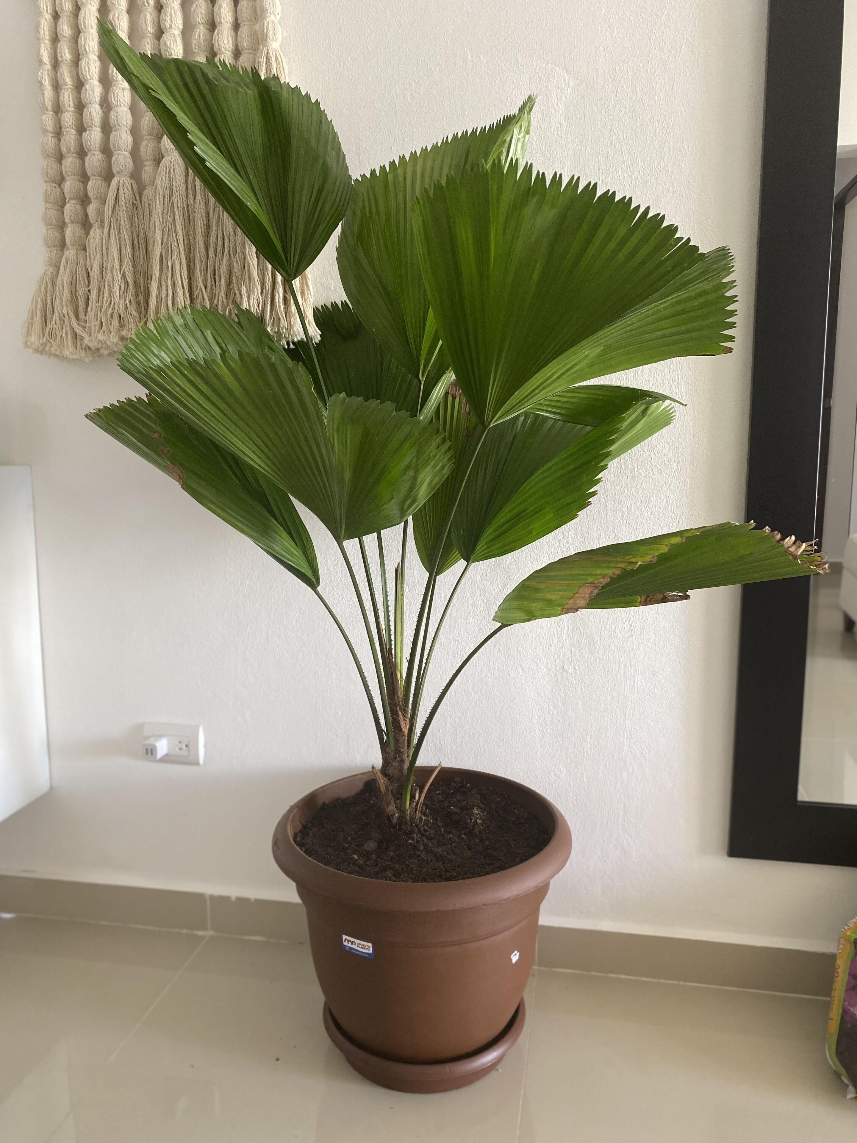 Leilighet – comfort, 2 soverom | 2 soverom, safe på rommet, strykejern/-brett og wi-fi (inkludert)