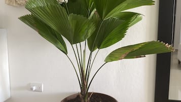 Leilighet – comfort, 2 soverom | 2 soverom, safe på rommet, strykejern/-brett og wi-fi (inkludert)