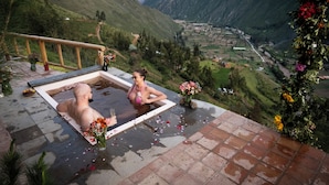Un jacuzzi con una vista panorámica de las montañas, rodeado de plantas y flores en macetas.