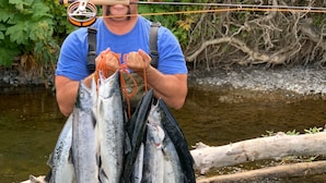 A person holding several fish in a natural setting with a river and greenery in the background. - Saltery Adventures Remote Loft Cabin (Kodiak)