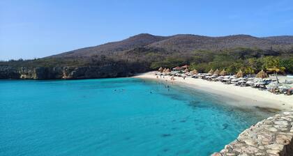 Modern sunshine yellow apartment with nature views