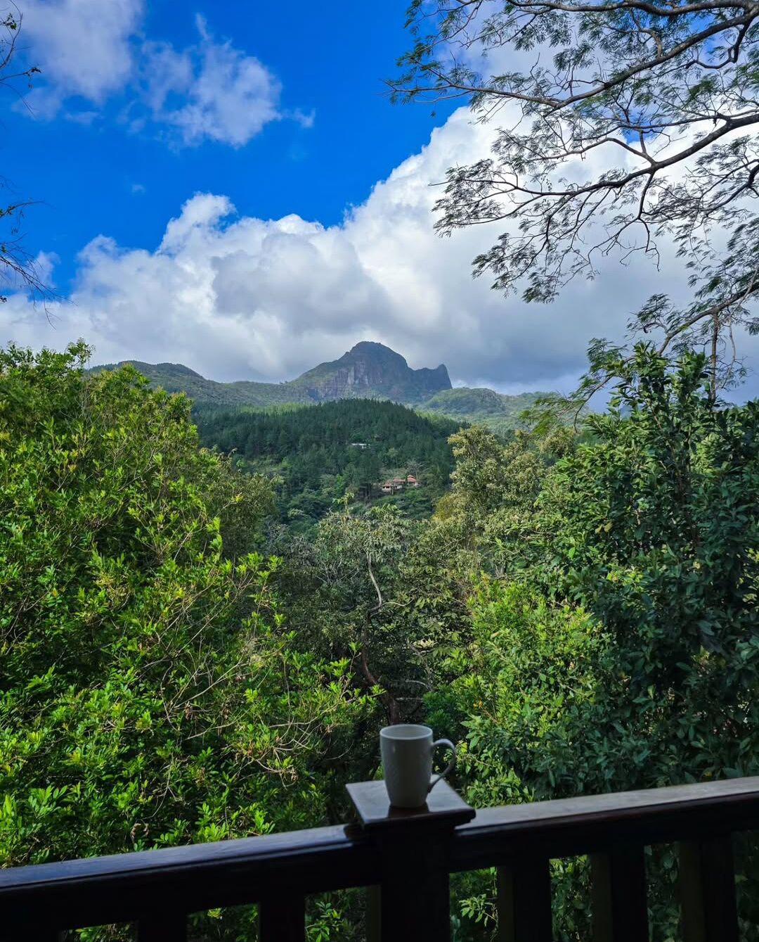 A scenic view from a balcony with a wooden railing, overlooking a lush green landscape and a prominent mountain in the distance.