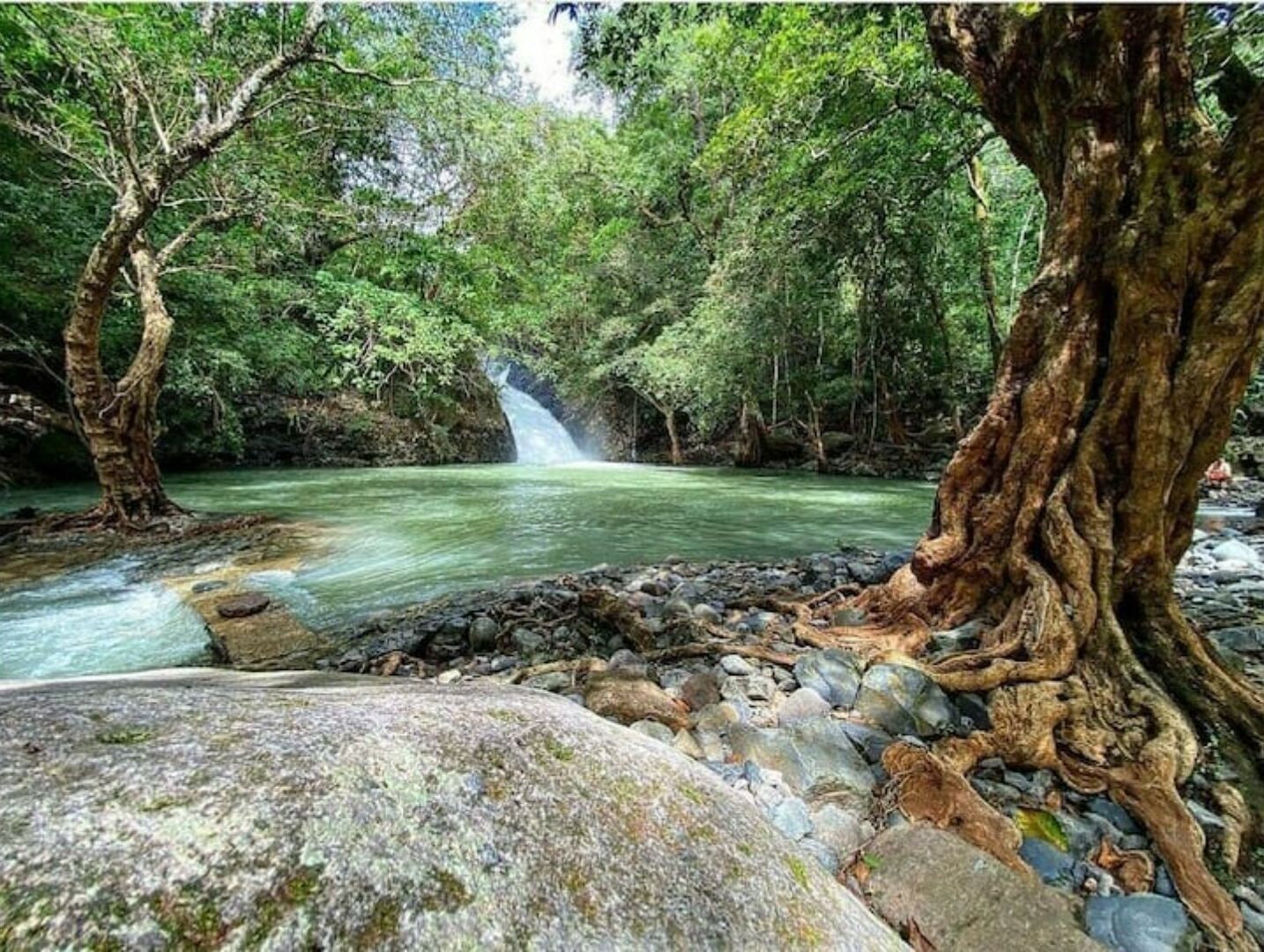 Paisaje natural con cascada, abundante vegetación y primer plano rocoso.