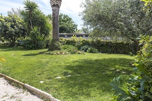 A well-maintained garden with a variety of plants and a tall palm tree.