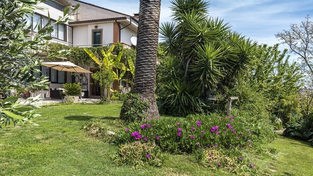 Uma casa com um jardim bem cuidado, incluindo uma palmeira e diversas plantas.