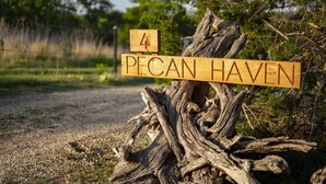 A wooden sign with the text "4 PECAN HAVEN" mounted on a tree trunk.