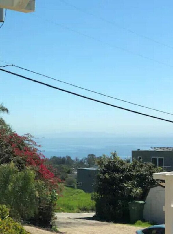 A residential area with a dirt road, greenery, and a view of the sea.