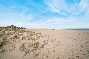 بالقرب من الشاطئ