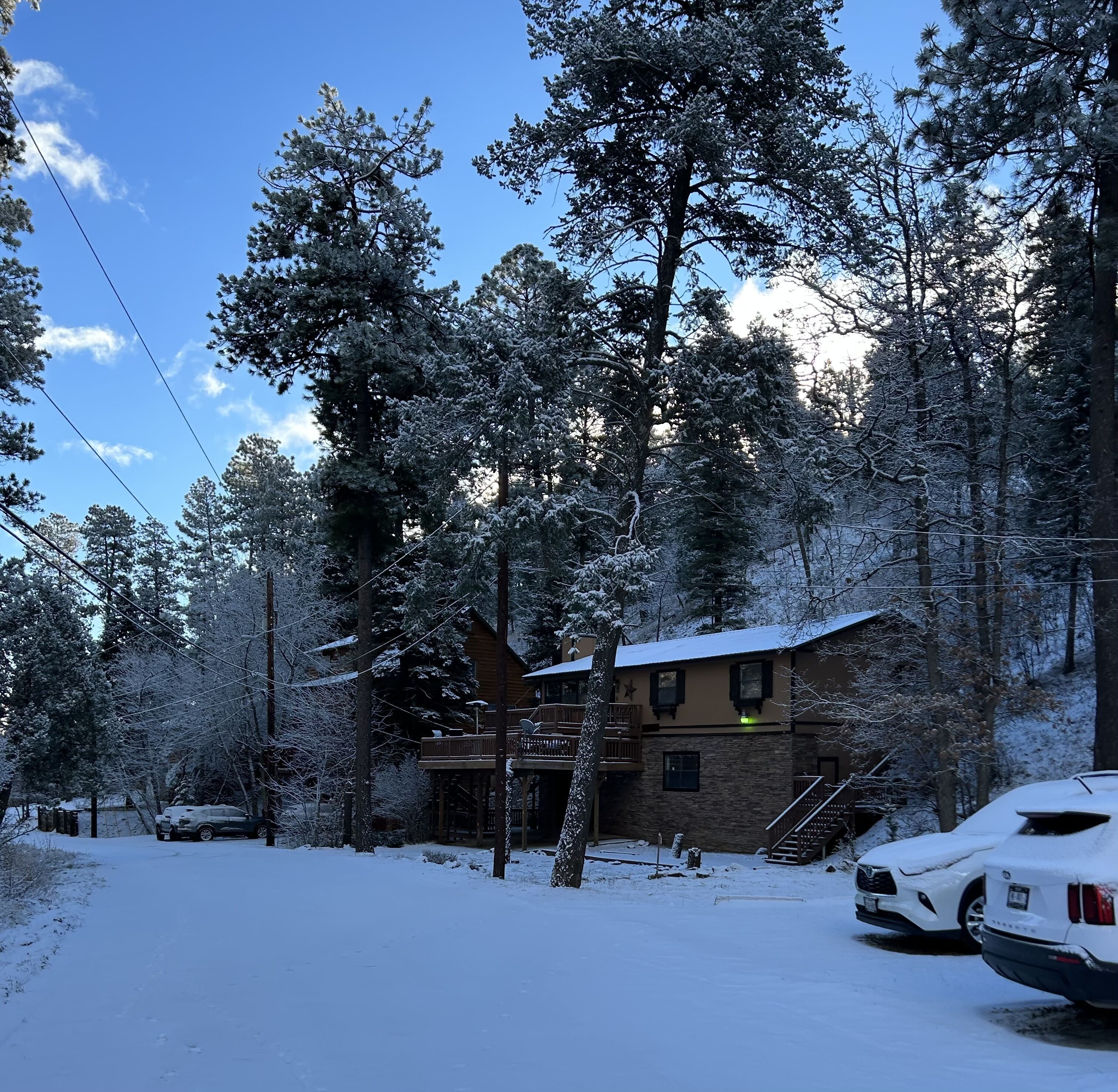 Hillside  cabin in Black Forest of upper canyon
