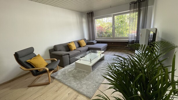 Ein modernes Wohnzimmer mit einem grauen Sofa, einem Holzstuhl, einem Glastisch und einer großen Pflanze.