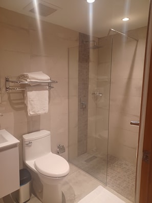 Regadera, toallas, jabón, shampoo