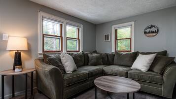 TV connectée, cheminée, livres