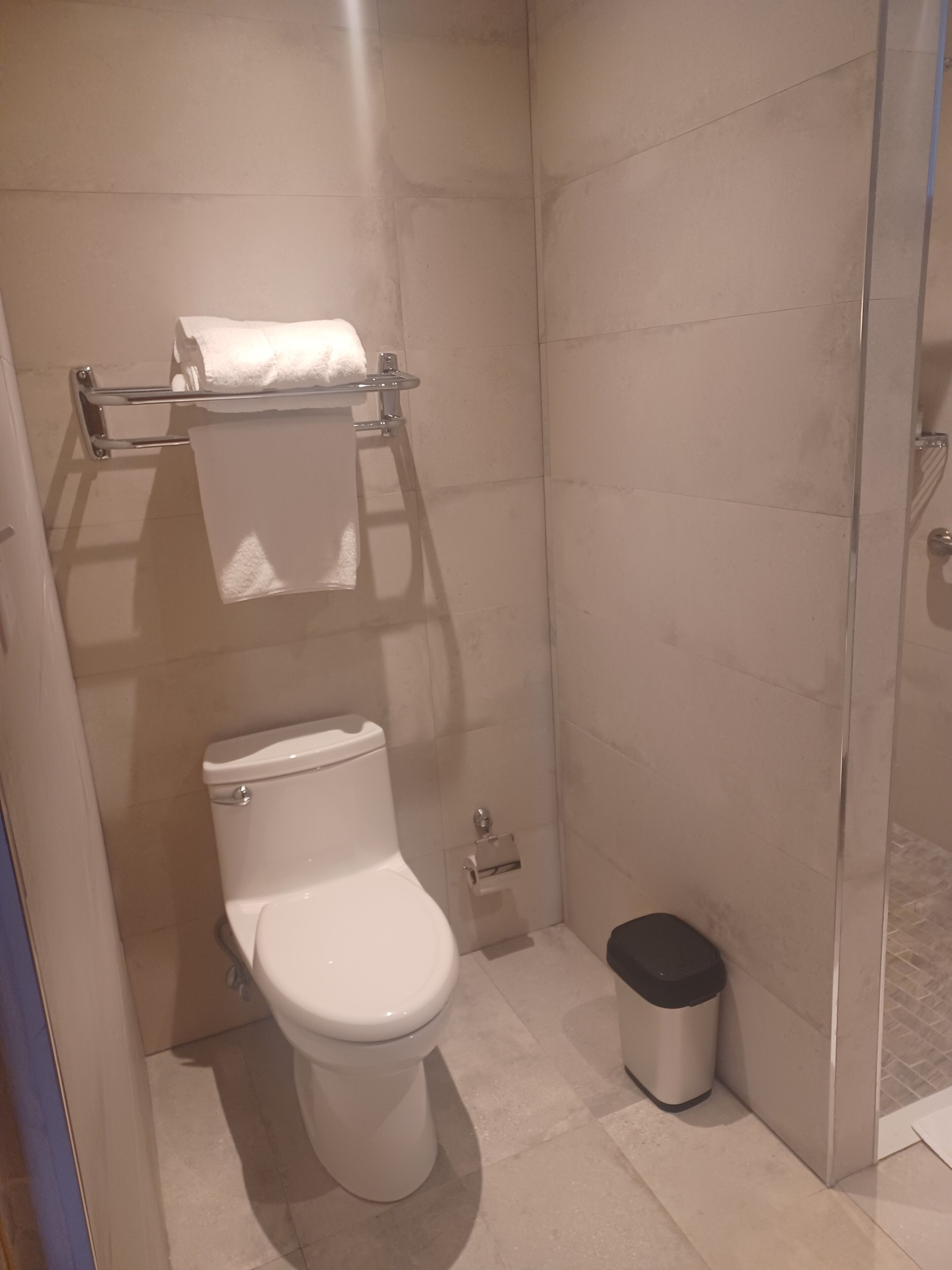 A small, modern bathroom with a toilet, a towel rack, and a trash bin.