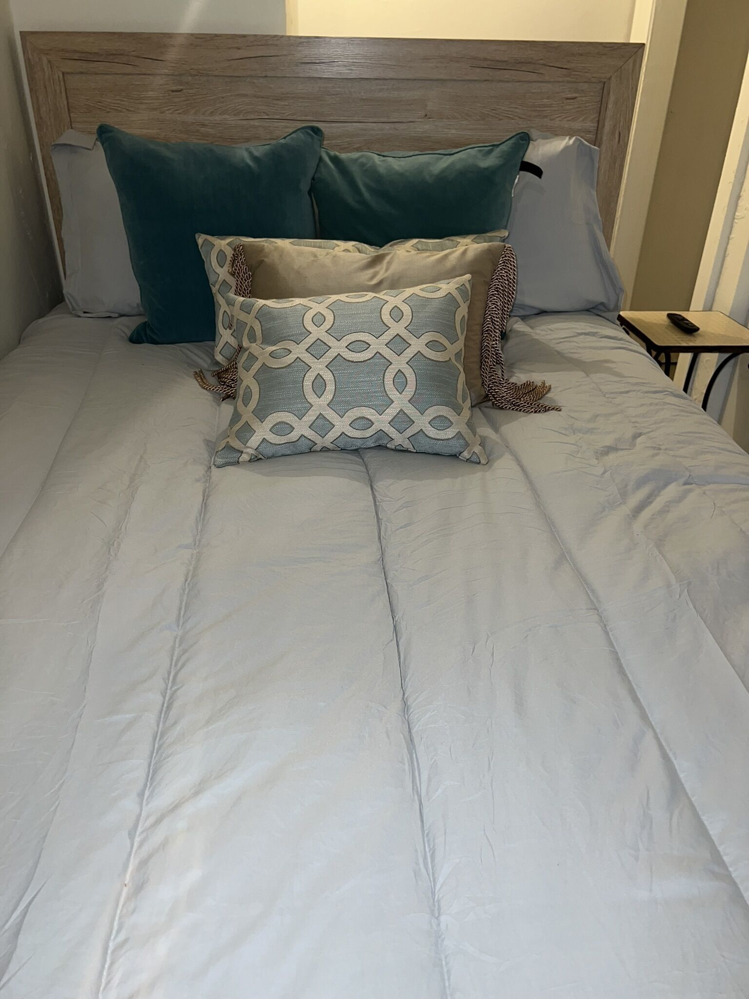 1 bedroom apartment downtown detroit.