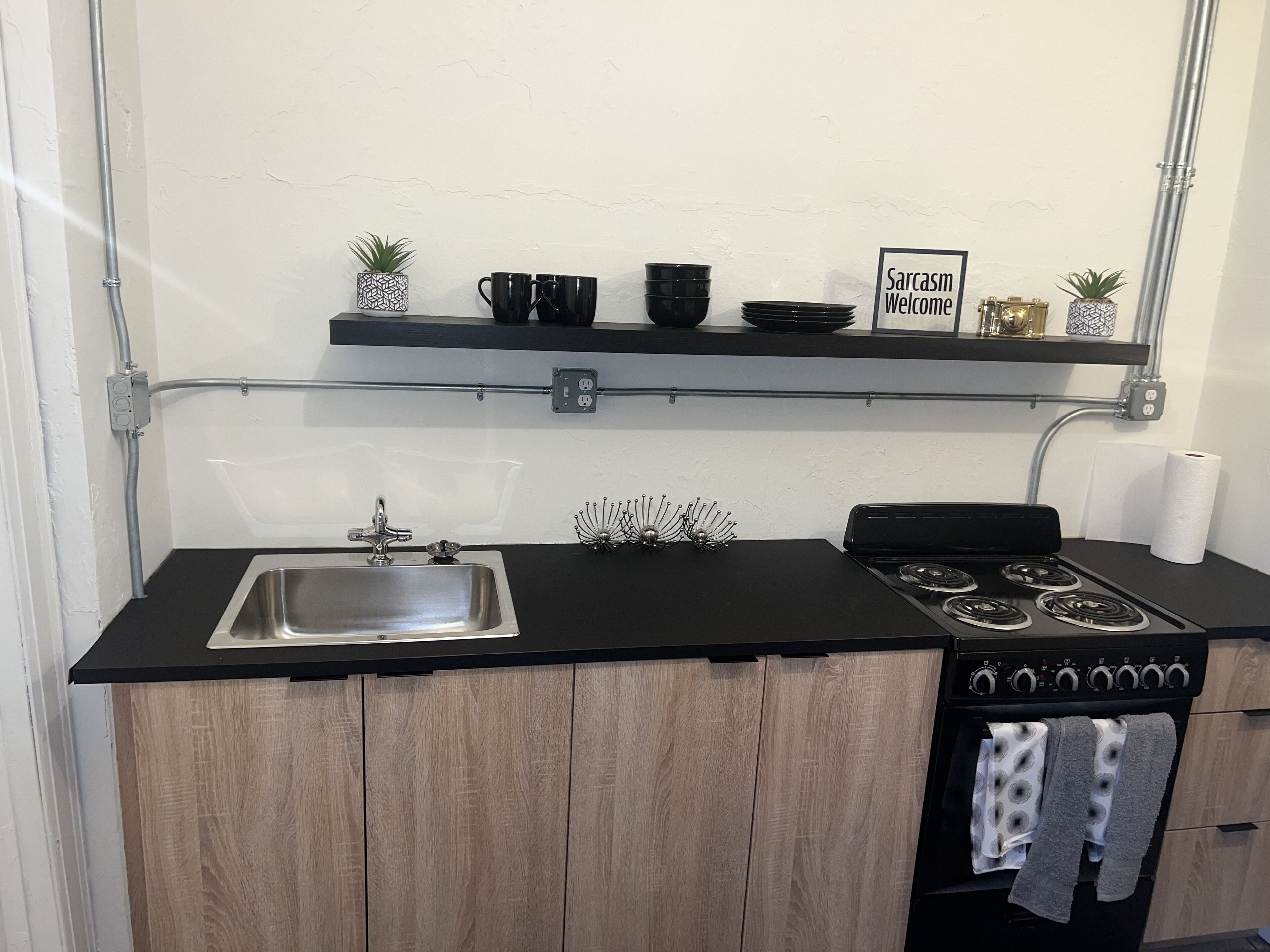 1 bedroom apartment downtown detroit.