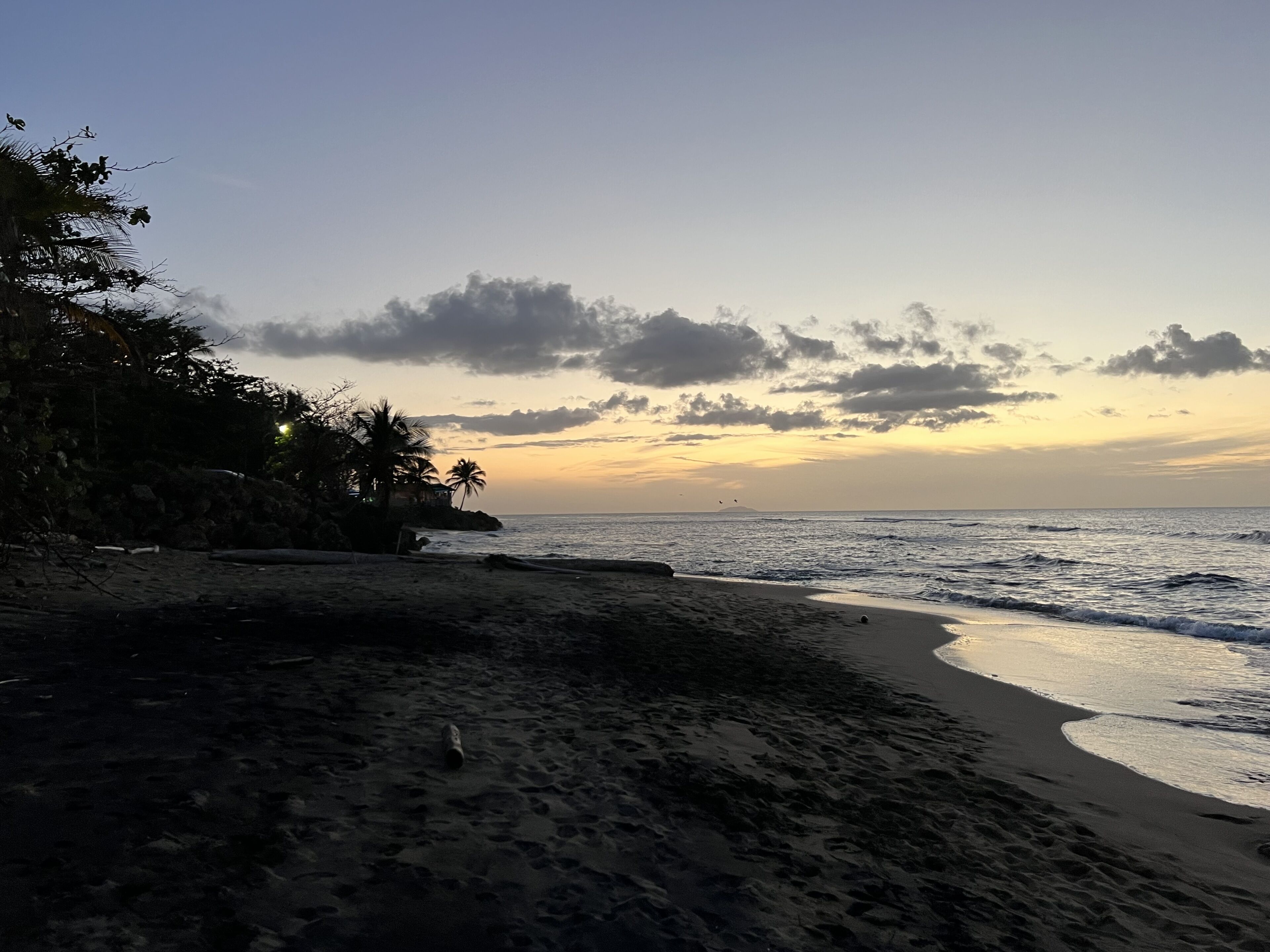 Une plage au rivage incurvé, bordée de palmiers, avec un coucher de soleil sur l’océan.
