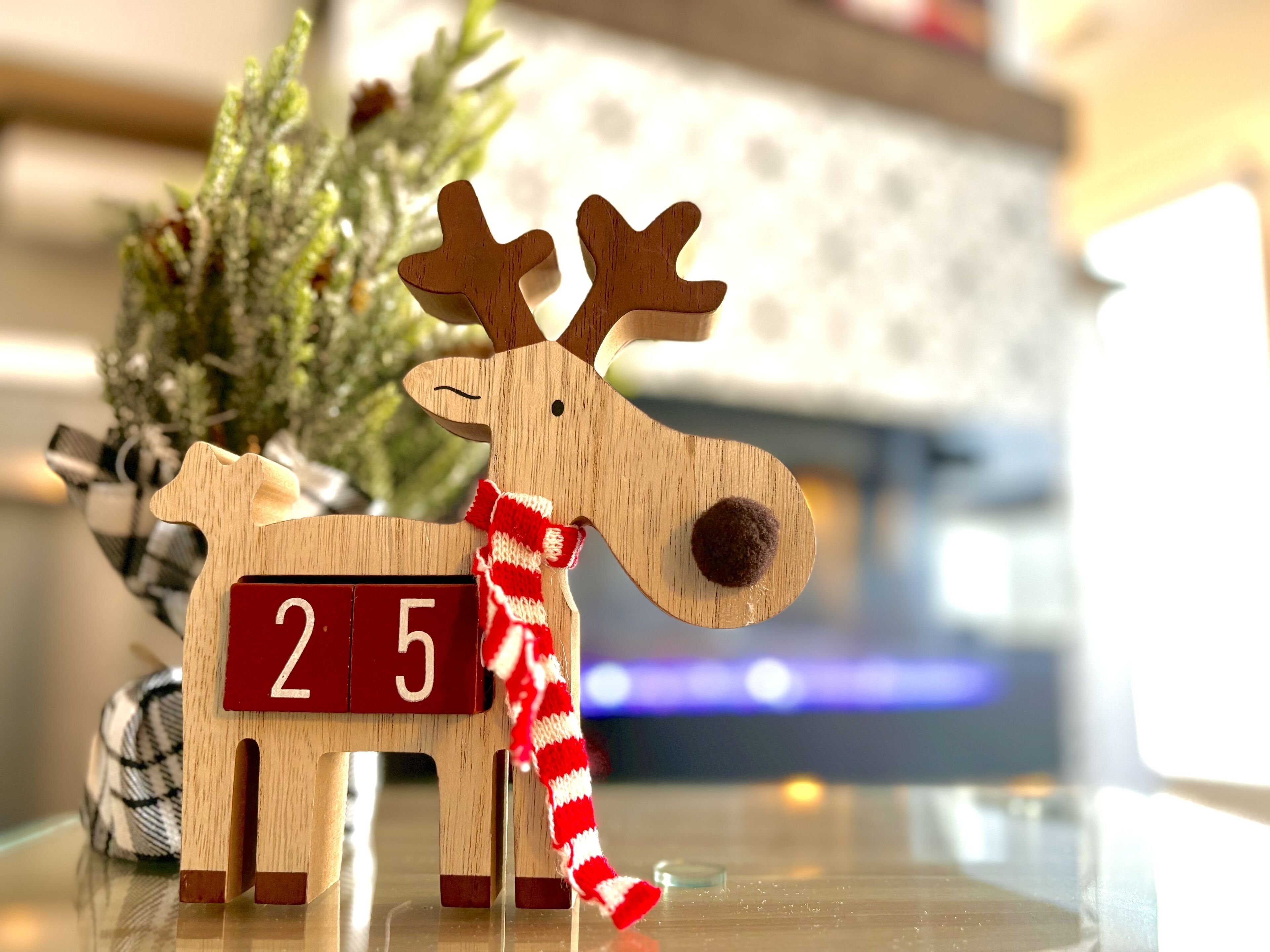 🦉*Prime Location* Cozy Canmore Studio🦉