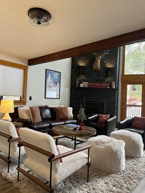 Smart TV, fireplace, books, stereo
