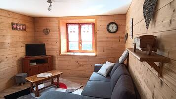 Télévision, lecteur de DVD, livres