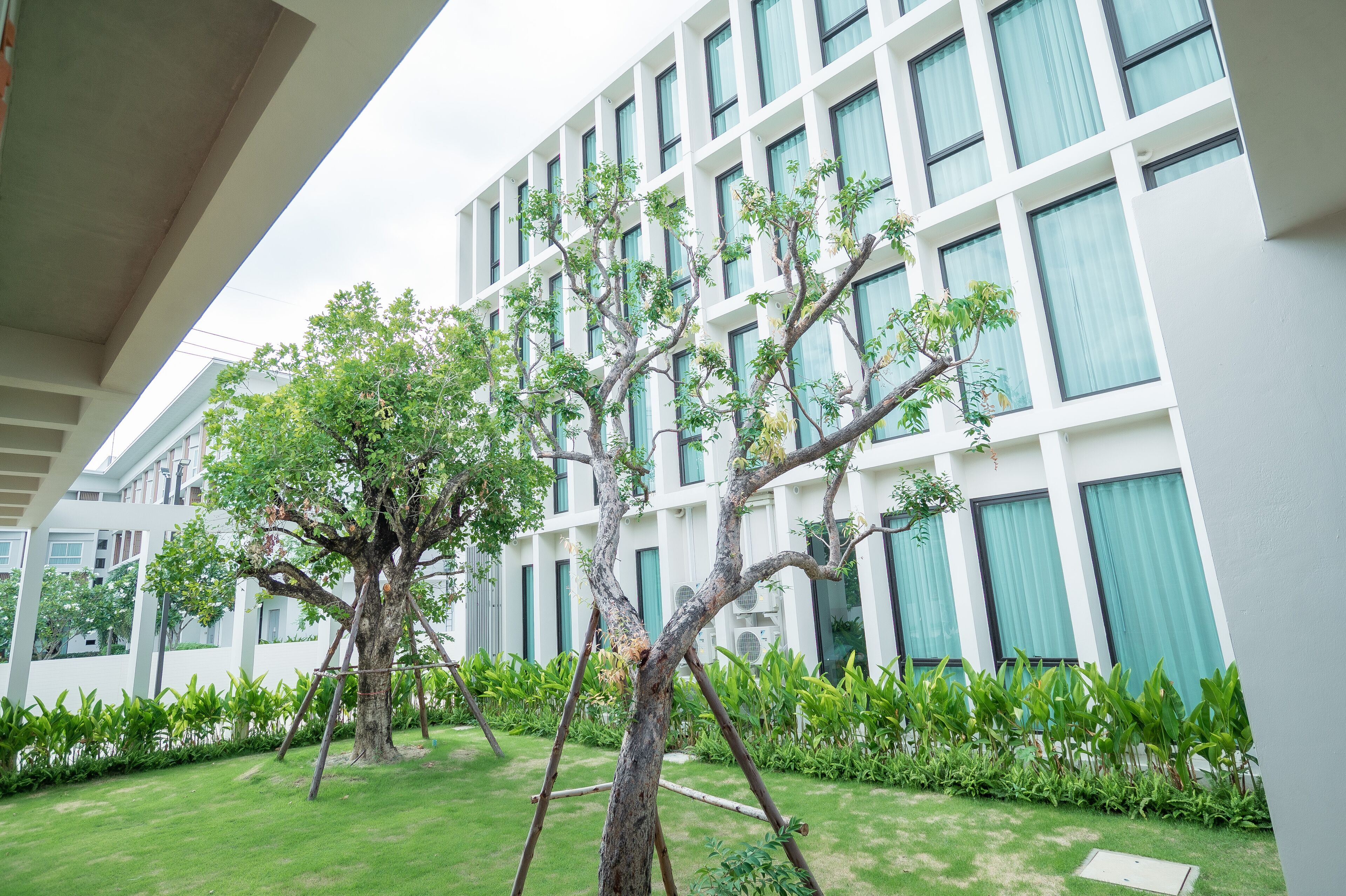 A courtyard with a tree, a building with large windows, and a well-maintained lawn.